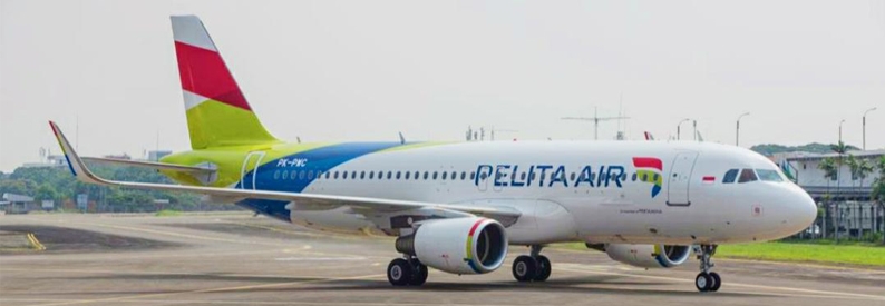 Indonesia's Pelita Air eyes scheduled int'l ops in late 2024